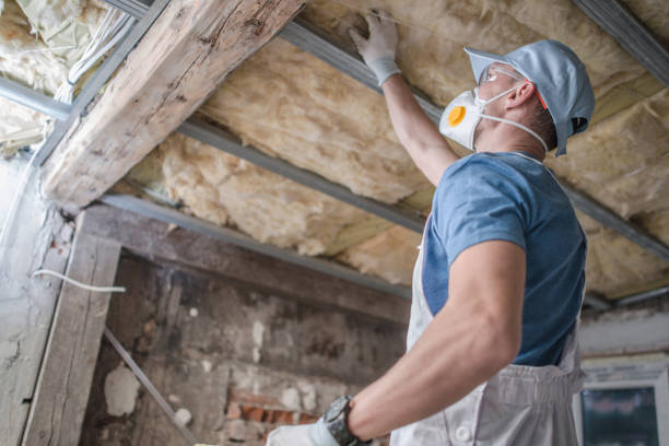 Best Insulation Contractors for Homes  in Lake Hiawatha, NJ