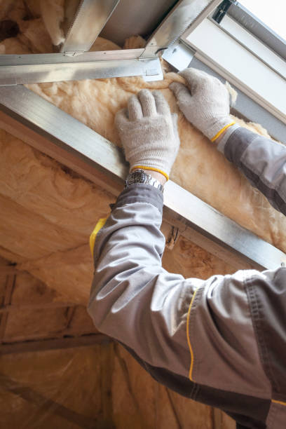 Best Insulation Contractor Near Me  in Lake Hiawatha, NJ