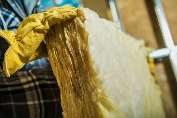 Best Insulation Inspection Services  in Lake Hiawatha, NJ