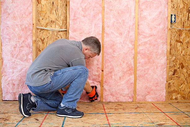 Best Home Insulation Services  in Lake Hiawatha, NJ
