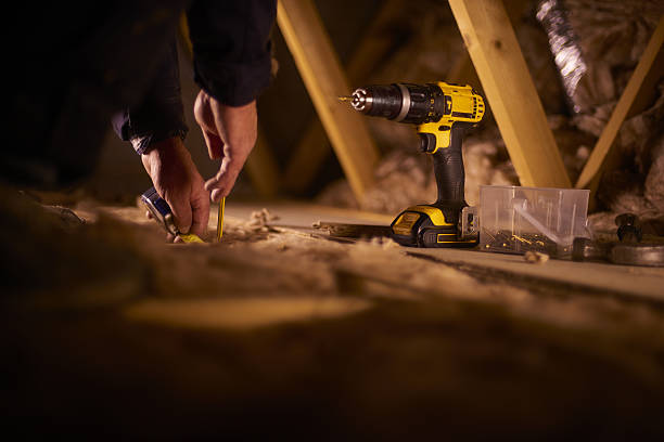 Best Insulation Removal  in Lake Hiawatha, NJ